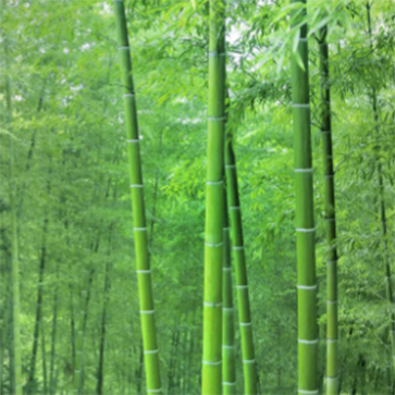 QQ截图20260403180704.png